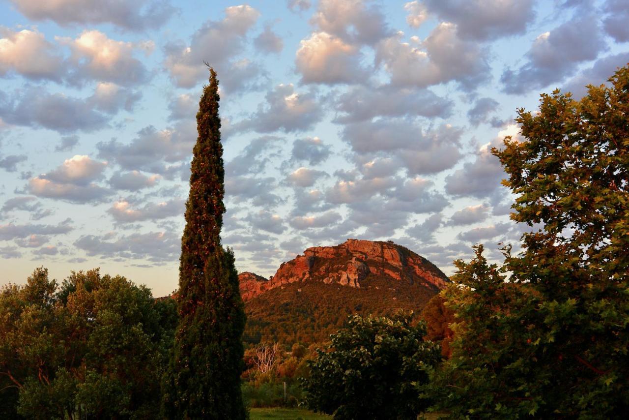 L'Albaida, Tranquility, Views Of Sea And Mountains Διαμέρισμα Vilanova de Escornalbou Εξωτερικό φωτογραφία