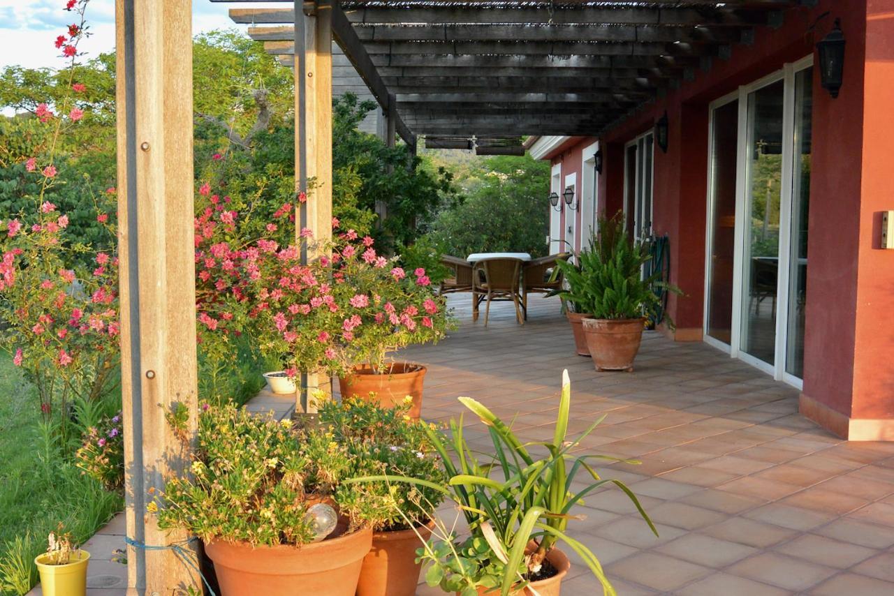 L'Albaida, Tranquility, Views Of Sea And Mountains Διαμέρισμα Vilanova de Escornalbou Εξωτερικό φωτογραφία