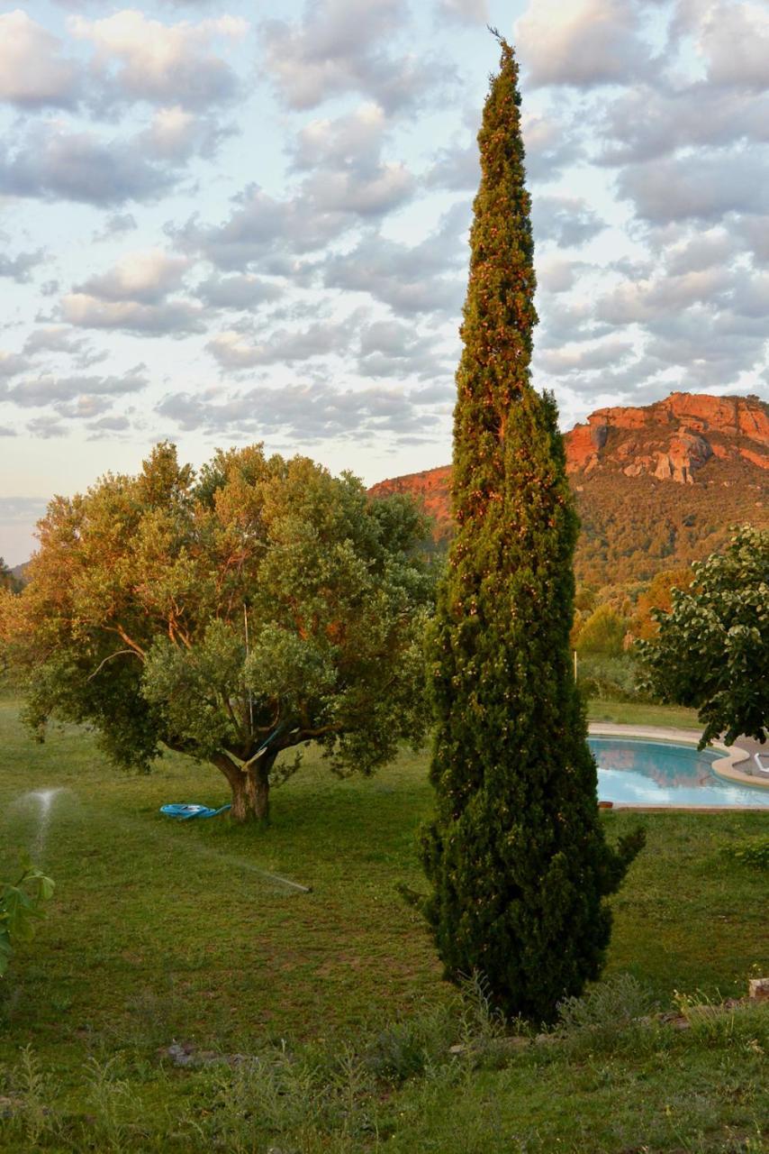 L'Albaida, Tranquility, Views Of Sea And Mountains Διαμέρισμα Vilanova de Escornalbou Εξωτερικό φωτογραφία