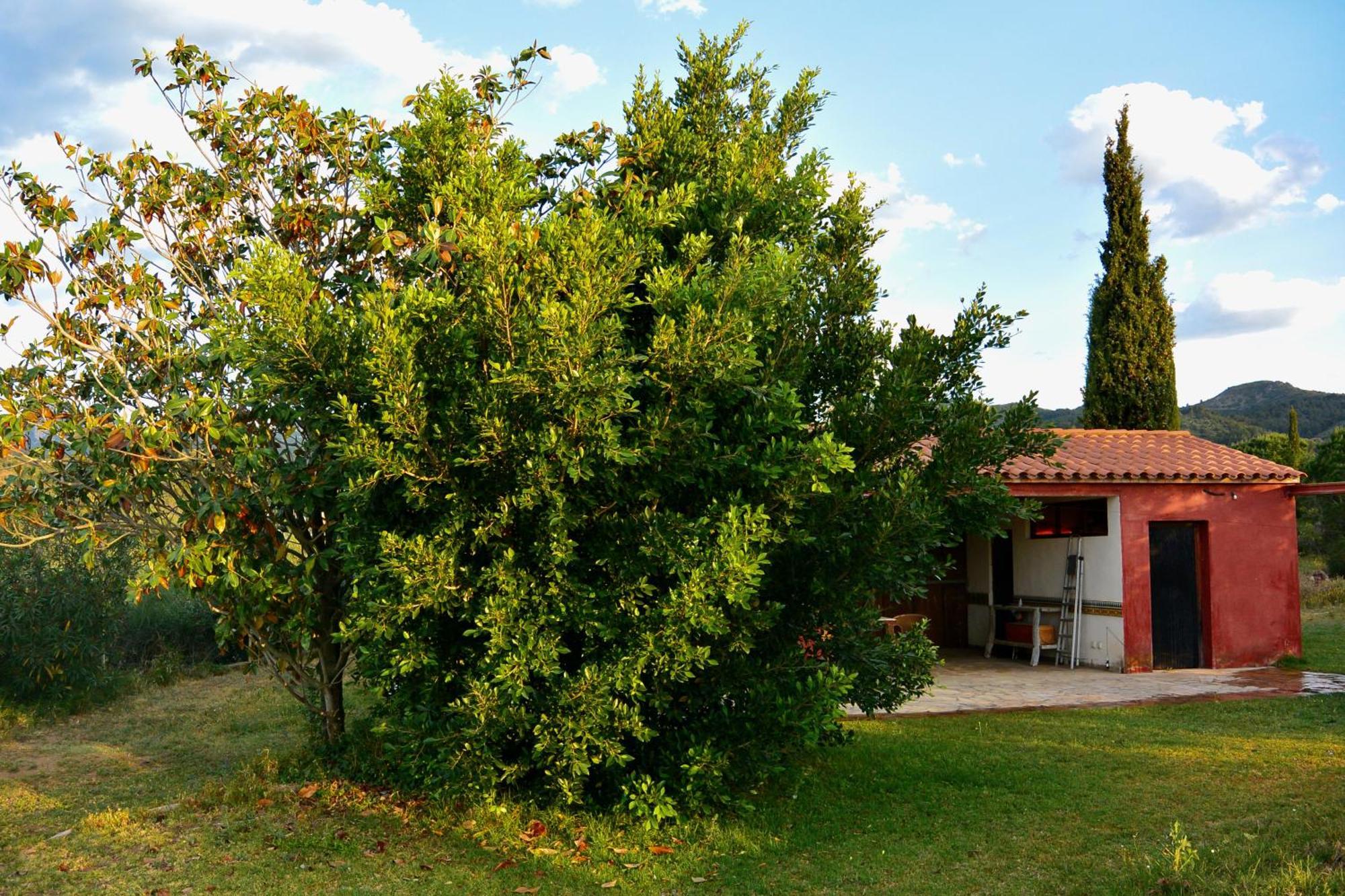 L'Albaida, Tranquility, Views Of Sea And Mountains Διαμέρισμα Vilanova de Escornalbou Δωμάτιο φωτογραφία